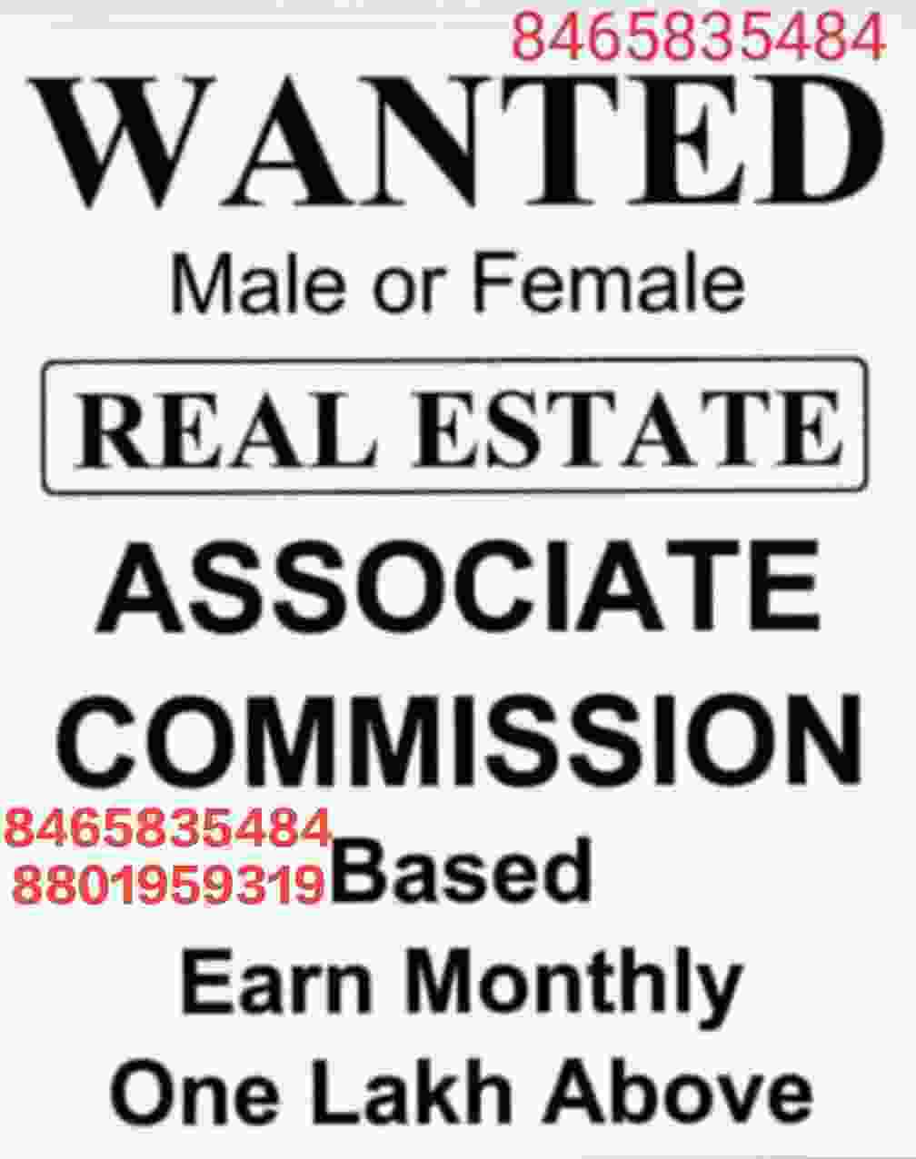 wanted male or female